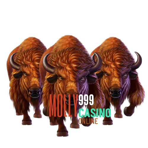 BX666
